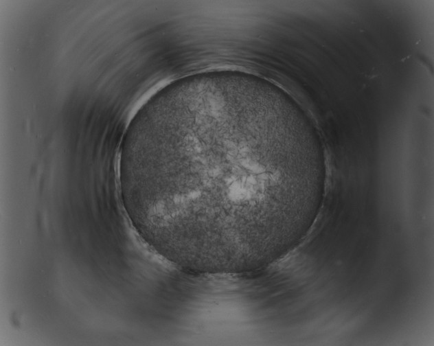 X0000103291198200809261242