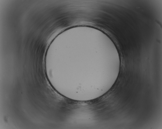 X0000103291199200809261242