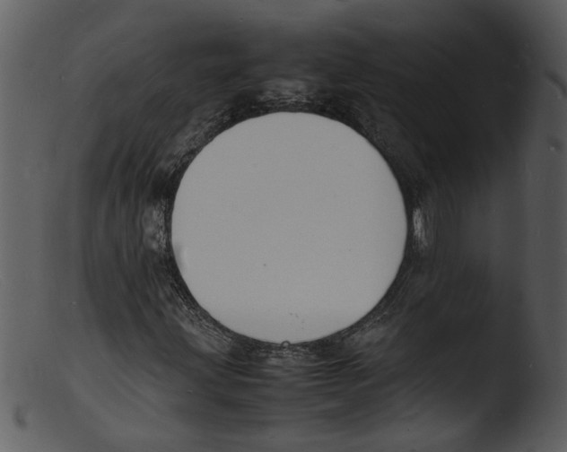 X0000103291203200809261241