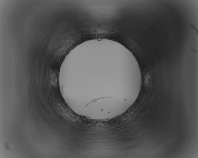 X0000103291204200809261241