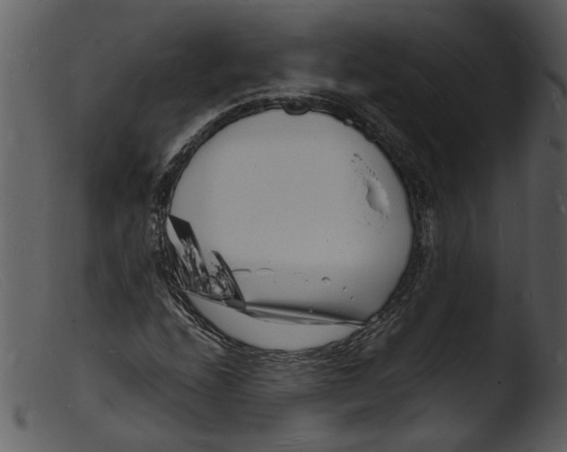 X0000103291208200809261241
