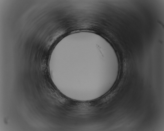 X0000103291210200809261241