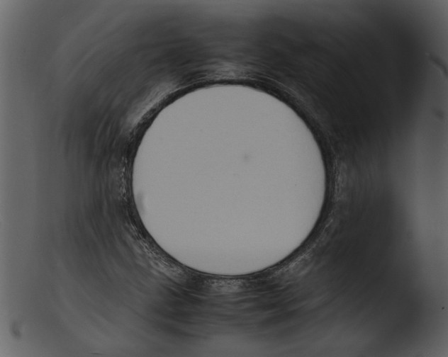 X0000103291211200809261241