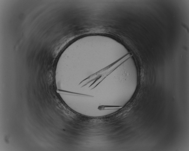 X0000103291212200809261241