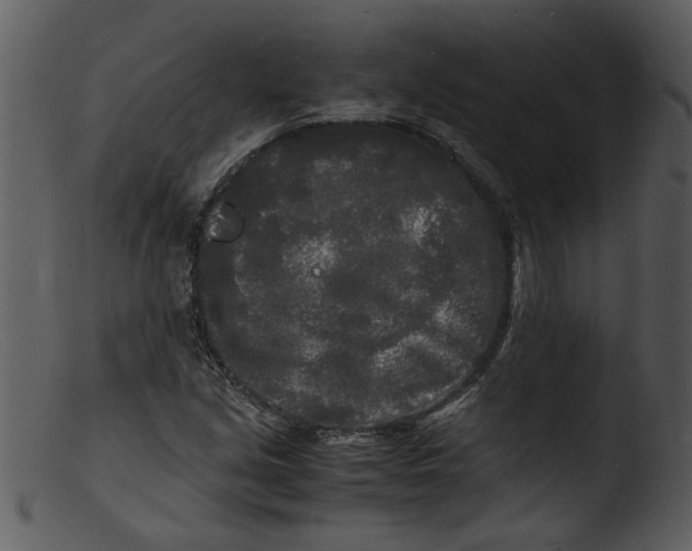 X0000103291213200809261241