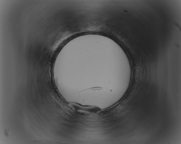 X0000103291214200809261241
