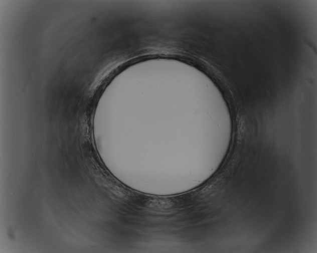 X0000103291215200809261241