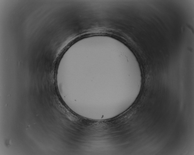 X0000103291216200809261241