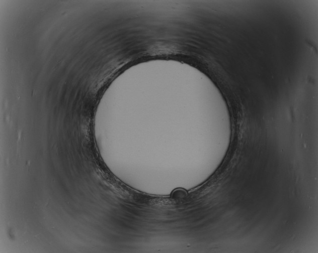 X0000103291217200809261242