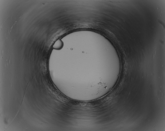 X0000103291218200809261242