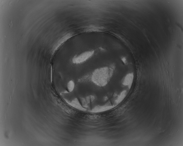 X0000103291219200809261242