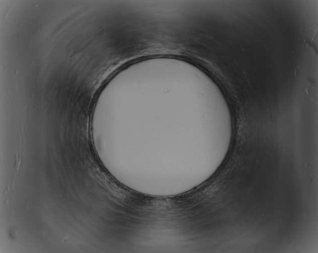 X0000103291220200809261242