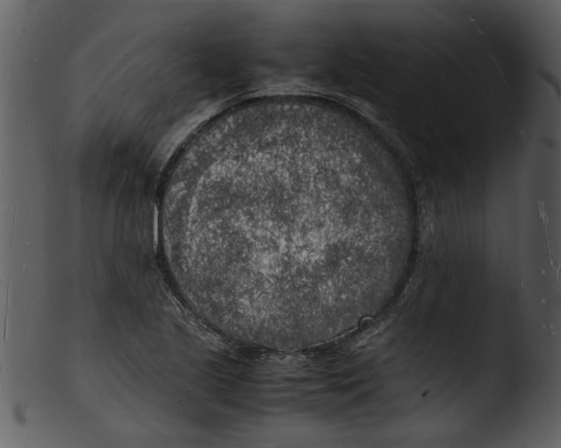 X0000103291221200809261242