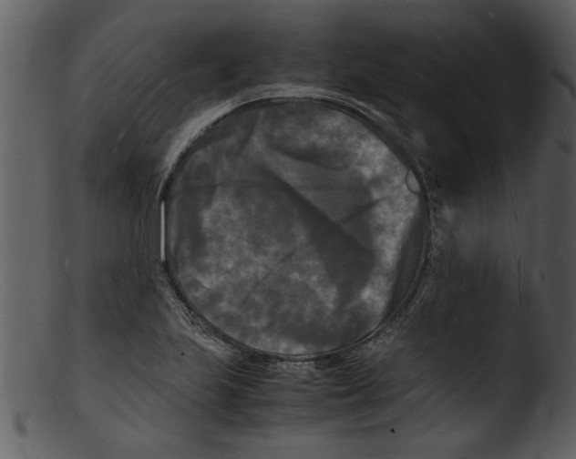 X0000103291223200809261242
