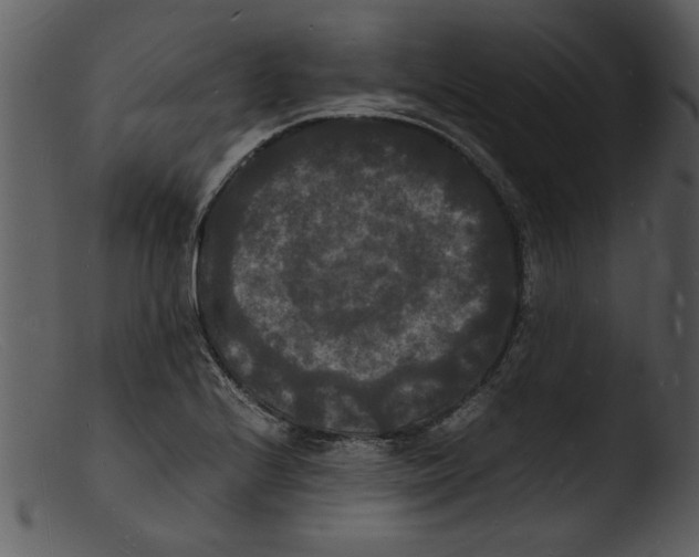 X0000103291224200809261242