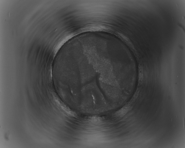 X0000103291226200809261242