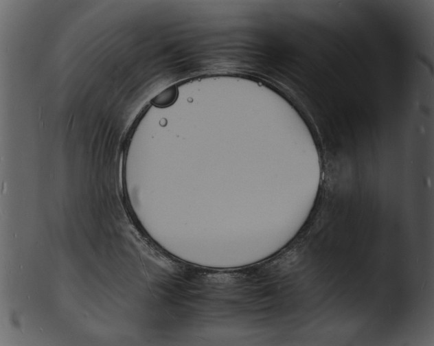 X0000103291227200809261242