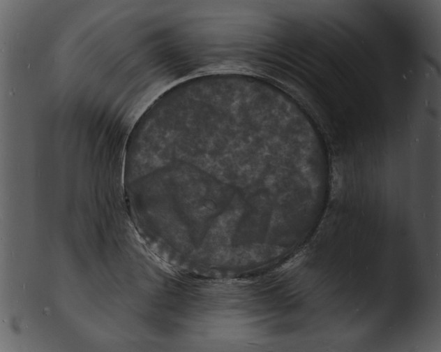 X0000103291228200809261242