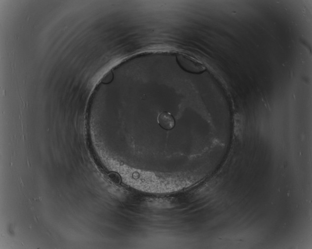X0000103291229200809261242