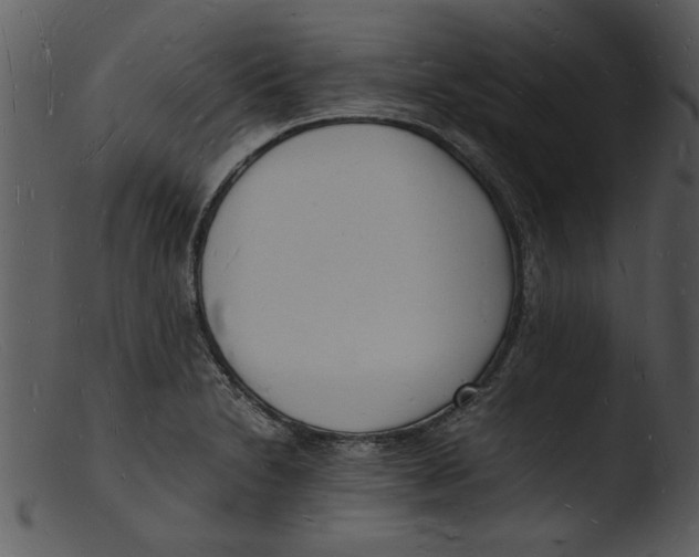 X0000103291230200809261242