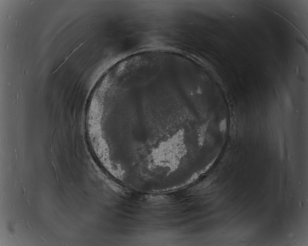 X0000103291231200809261242