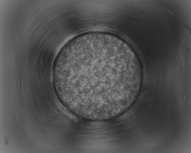 X0000103291232200809261242
