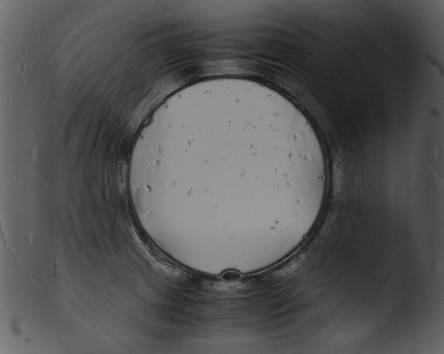 X0000103291233200809261242