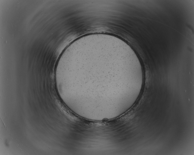 X0000103291234200809261242