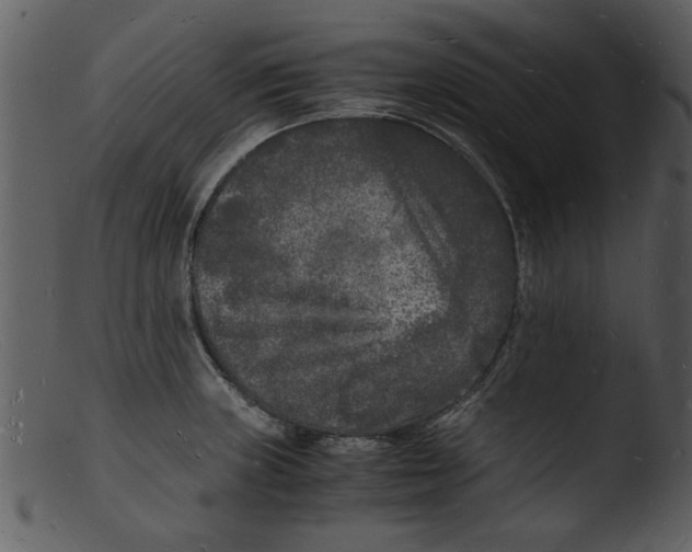 X0000103291235200809261242