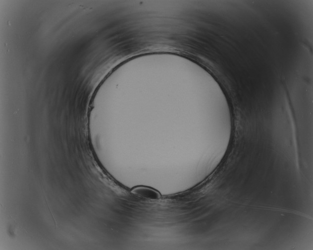 X0000103291236200809261242