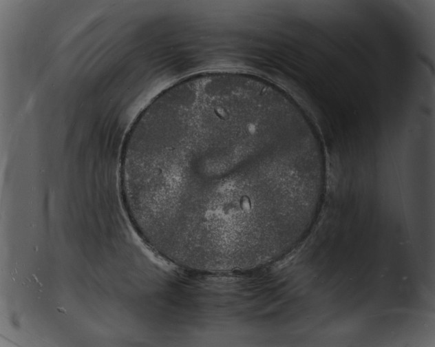 X0000103291237200809261242