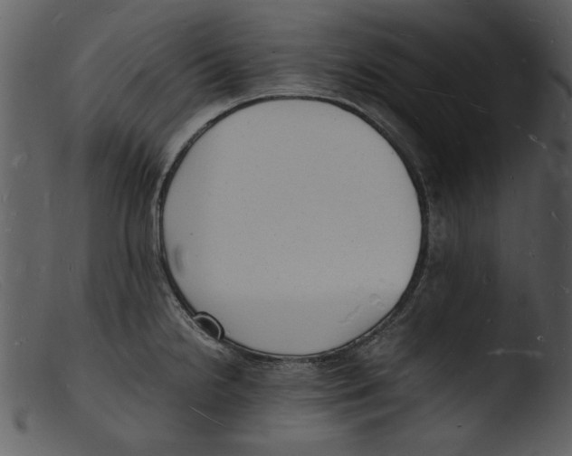 X0000103291238200809261242