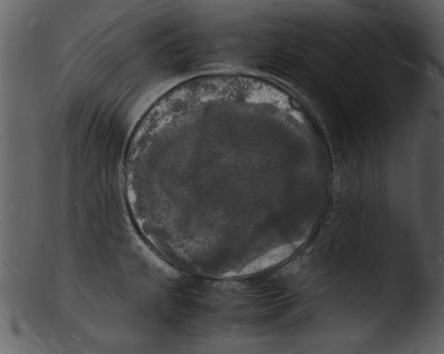 X0000103291239200809261242