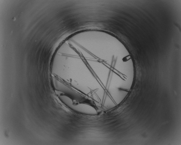 X0000103291240200809261242