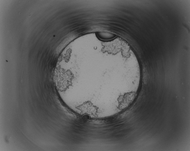 X0000103291241200809261242