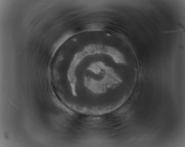 X0000103291243200809261242