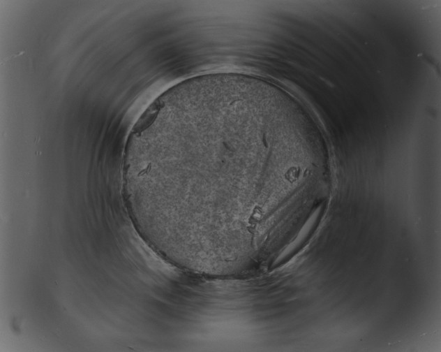 X0000103291244200809261242