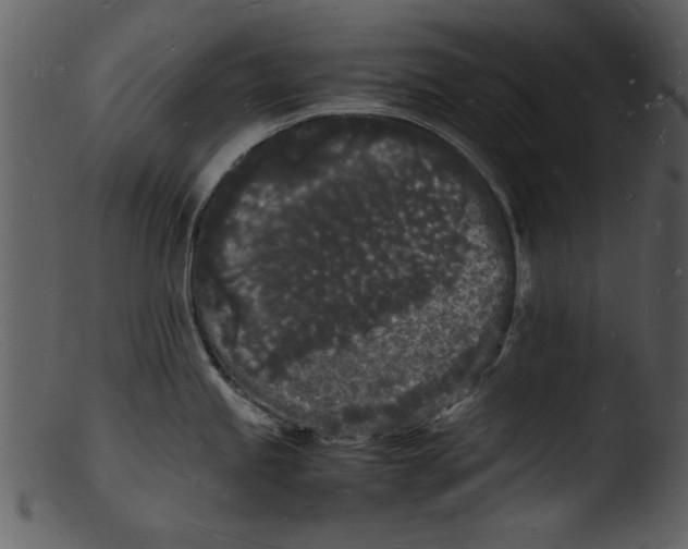 X0000103291245200809261242
