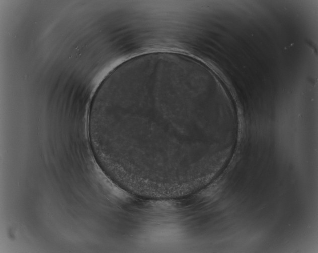 X0000103291246200809261242