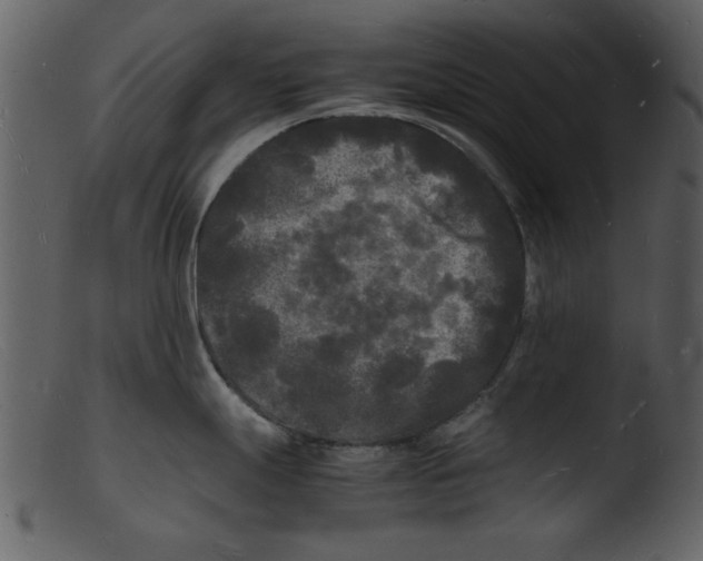 X0000103291247200809261242