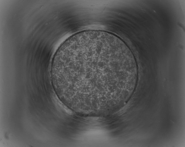 X0000103291248200809261242