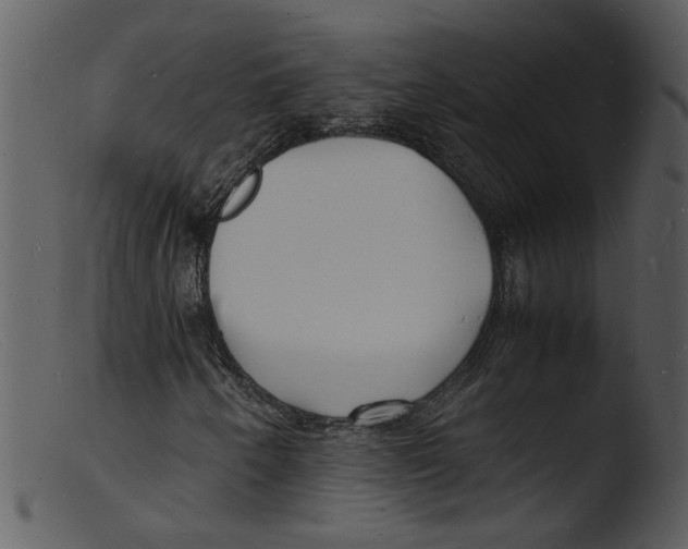 X0000103291250200809261241