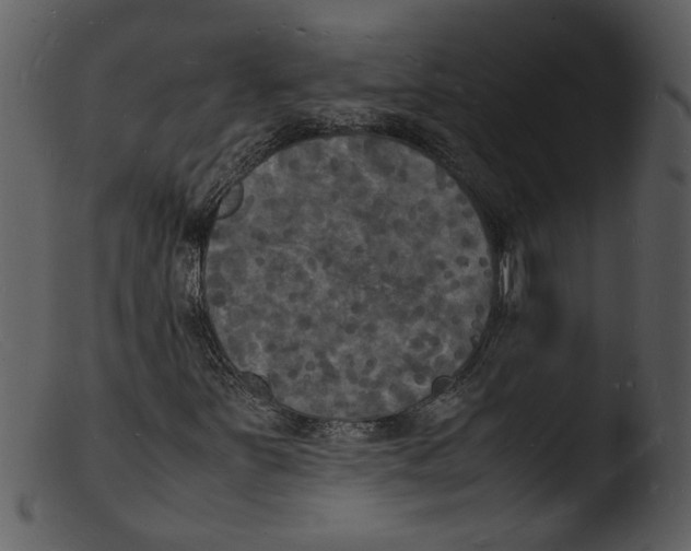 X0000103291251200809261241