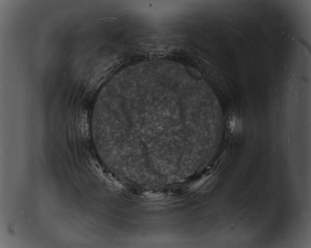 X0000103291252200809261241
