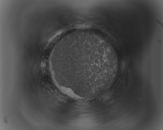 X0000103291254200809261241
