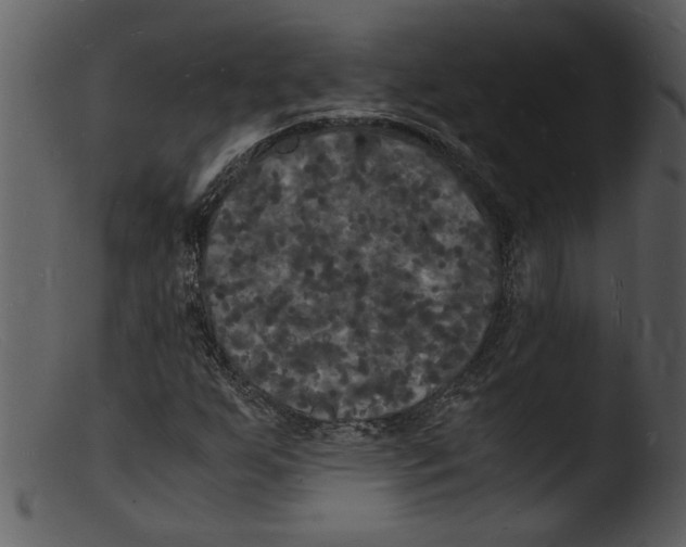 X0000103291255200809261241