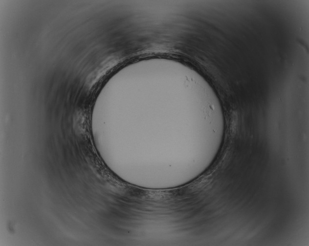 X0000103291258200809261241