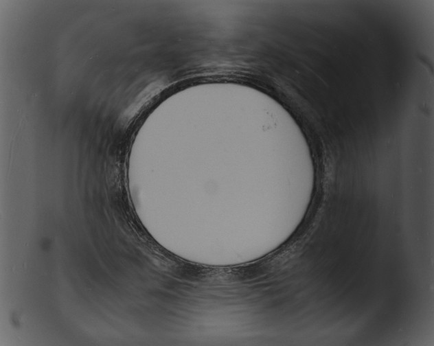 X0000103291259200809261241