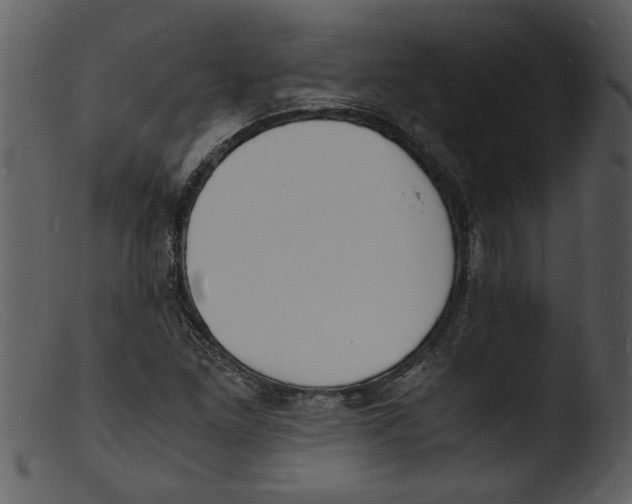 X0000103291261200809261241
