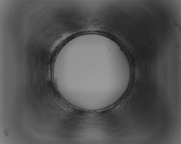 X0000103291262200809261241